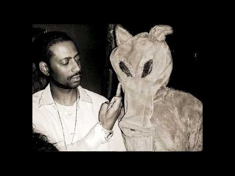 madlib - hityawitdat (remix)
