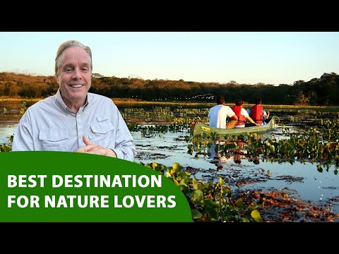 SouthWild 's Jaguar Tour - Brazil - SN12