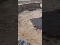 Ya Fatima Ya Zahra