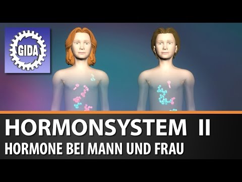Ob Diabetiker Pfannkuchen Diabetes-Diät 7