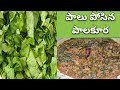 Milk and lettuce curry//palakura recipe//milk and lettuce curry