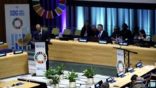 Statement of the Minister of Foreign Affairs of Armenia at the Sustainable Development Goals Summit