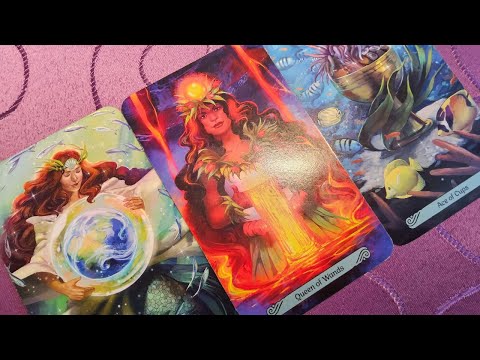 You DON'T EXPECT THIS - Weekly Oracle from November 24th, 2025 🎉🌺