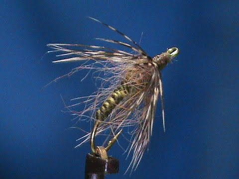 Red Squirrel Soft Hackle