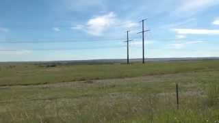 crowfoot valley prairie dog kill