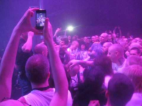 Digital Octopus - I Don't Like You (Skrewdriver cover)