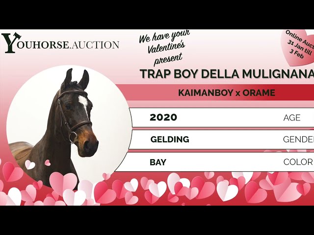 Trap Boy Della Mulignana