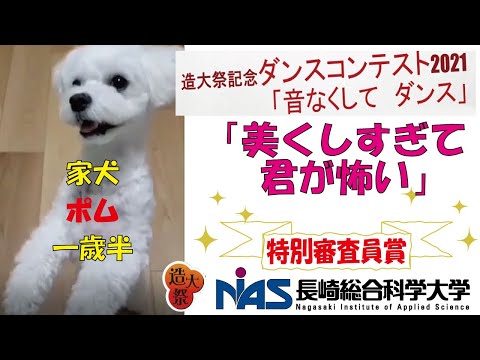 造大祭記念ダンスコンテスト2021　特別審査員賞「美くしすぎて君が怖い」