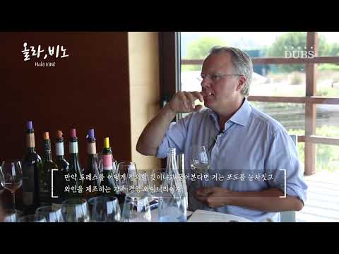 [2019 대학미디어센터 특별기획] 올라,비노 - 1부. 열정으로 발전해 온 스페인 와인