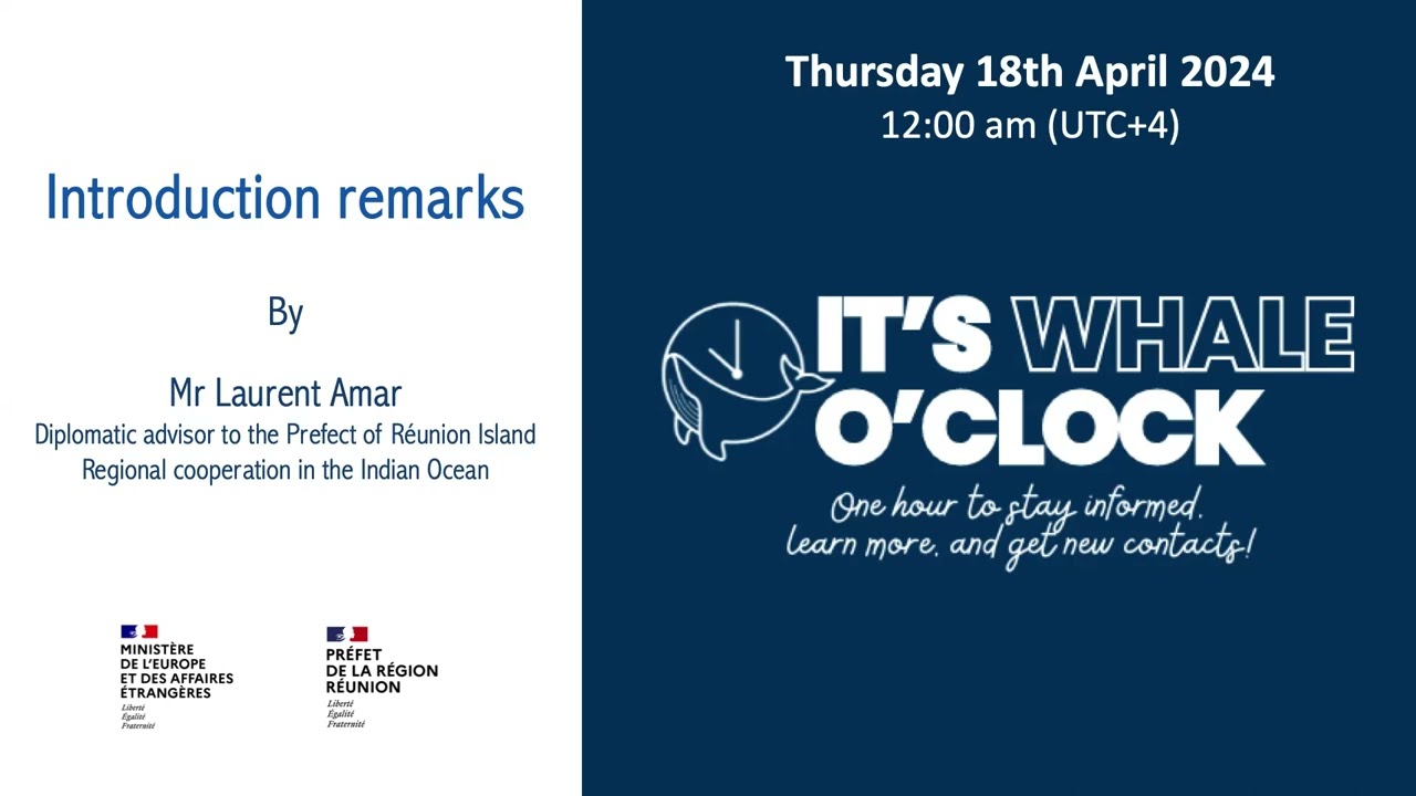 Webinar - Sustainable Whale and Dolphin Watching Tourism Network