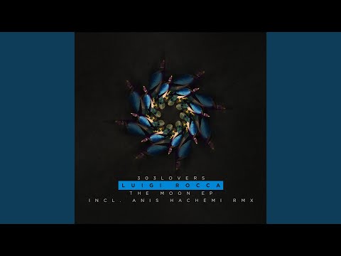 The Collector (Anis Hachemi Remix)