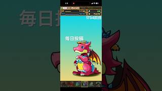 ガチャpart1734【2026/8/11】#パズドラ #毎日投稿