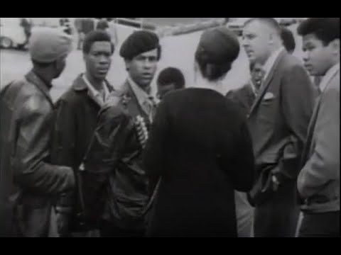 Black Power, Black Panther Party (1990)