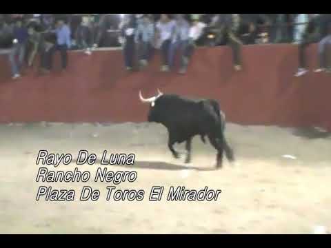 El rayo de luna plaza de toros mirador- filmaciones limberth