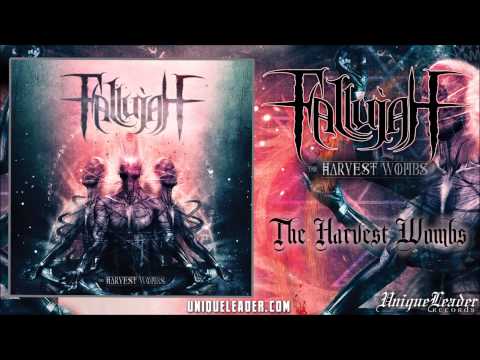 Fallujah-The Harvest Wombs