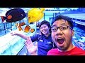 Best Saltwater Aquarium Store Near Me