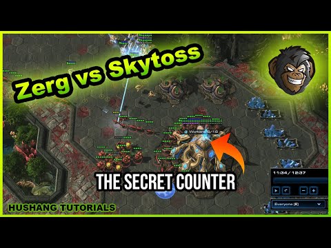 Starcraft 2 Zerg Guide | Playing vs Skytoss