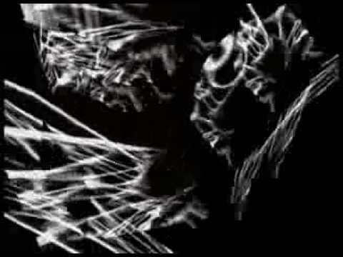 Noize Bug - Ghost Fractalia Asylum