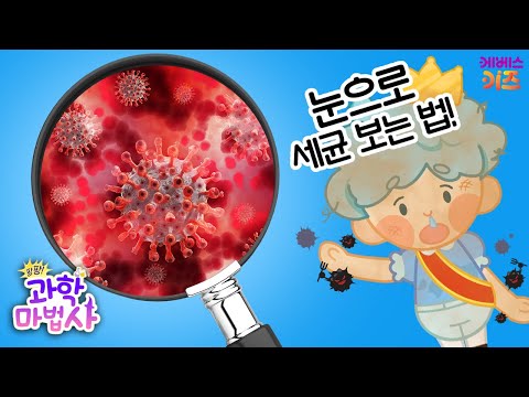 더러운 손에 세균이 바글바글! 세균이 보고싶어!ㅣ눈으로 세균 보는 법ㅣ팡팡 과학 마법사ㅣKBS 230116 방송