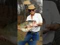 THE RECORD BASS THAT DIDN T COUNT Bassfishing Fishing Shorts