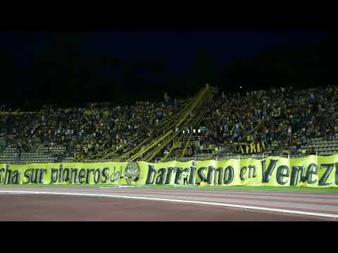 "QUE TE PASA DEMONIO // CÃNTICOS AURINEGROS // AVALANCHA SUR 1997 CAPOS DE VENEZUELA" Barra: Avalancha Sur &bull; Club: Deportivo Táchira