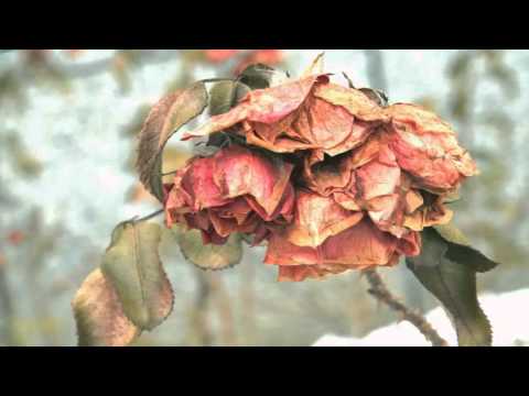 A Time For Love video