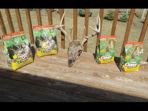 PLANTING "EVOLVED HARVEST" FOOD PLOT