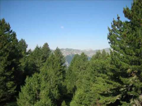 IGOR SOSKIC - ULOTINO JEDNA NA SVIJETU