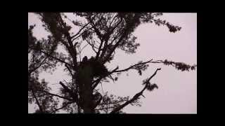 The time is drawing near!