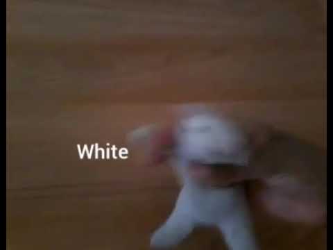 Sonic the Hedgehog plush show: S2 Ep . 1 the Beginning