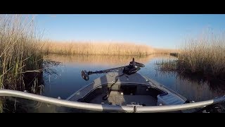 Азовские лиманы рыбалка