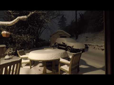 13 Feb 2021   Snow Storm   HD 1080p