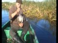 Ducks Hunting In The Danube Delta With Www Clubaventura Ro