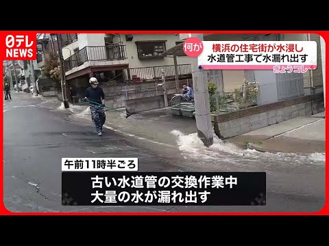 水浸し: 原因と予防 トピックス