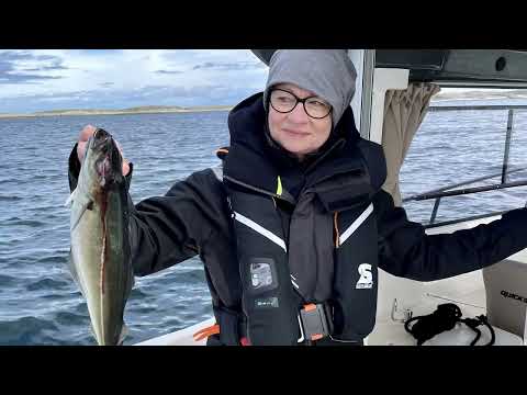 Norwegen Urlaub Flatanger 2022