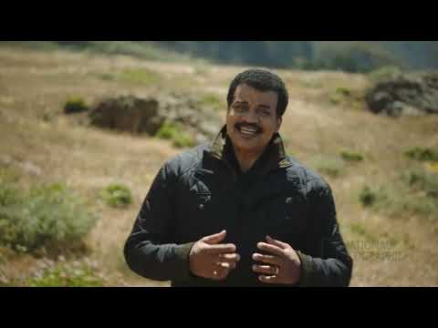 Cosmos Possible Worlds - Fragmento sobre la ciencia