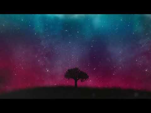 Frații Bragari - Isus m-a auzit