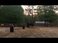 Barrel Racing To Temecula Sunrise By New Years Day