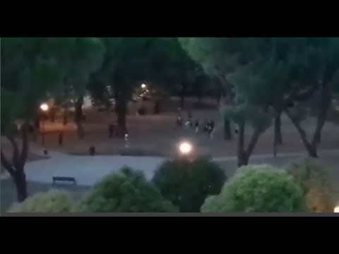 Arezzo, brawls in Saione. "Is it easy to sell beer and what about the checks?"