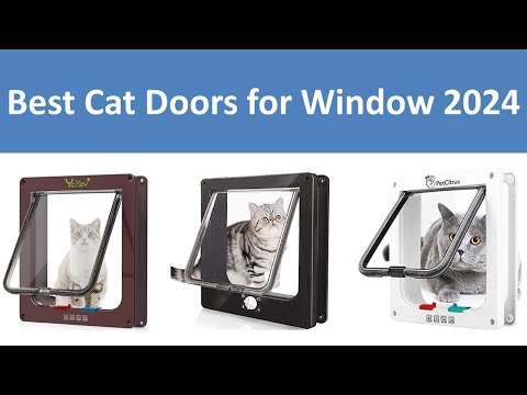 Top 10 Best Cat Doors for Window in 2022