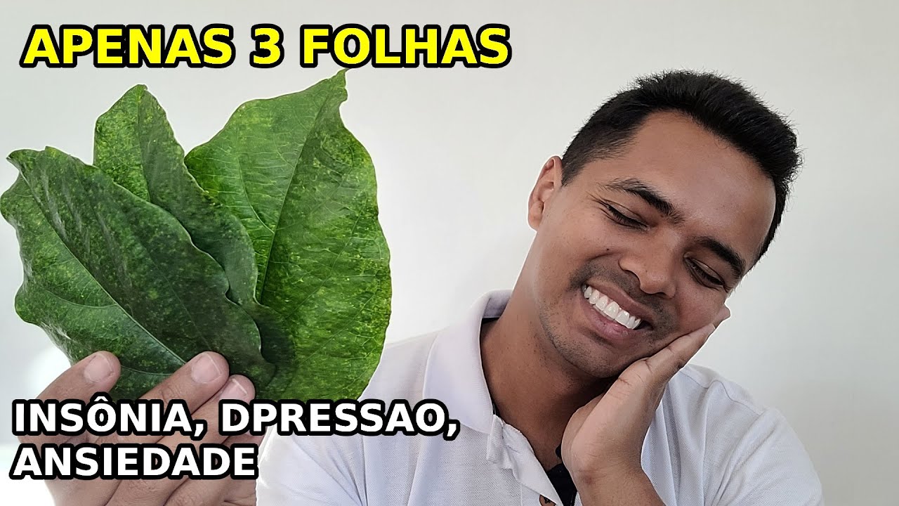 Apenas 3 folhas Durma Bem e Acorde Bem | Chá para Ansiedade, Depressão e Insônia