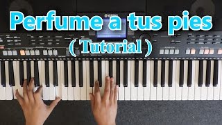 PERFUME A TUS PIES TUTORIAL PIANO 🎹 Chords - Chordify