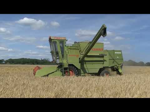 CLAAS DOMINATOR 85