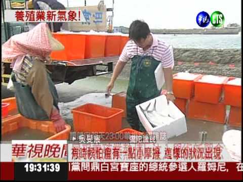 碩士生當漁民! 養殖業新氣象