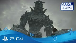 Shadow of the Colossus - Tour du studio Bluepoint | Disponible | Exclu PS4