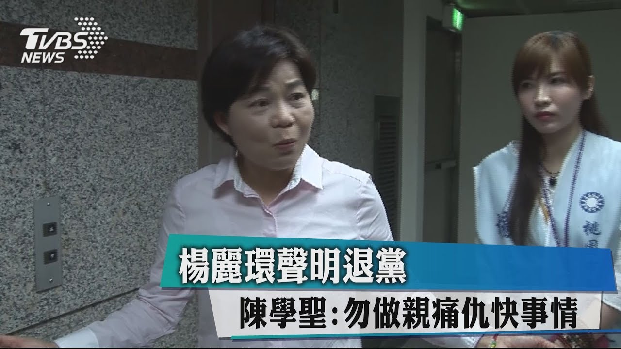 楊麗環聲明退黨　陳學聖：勿做親痛仇快事情