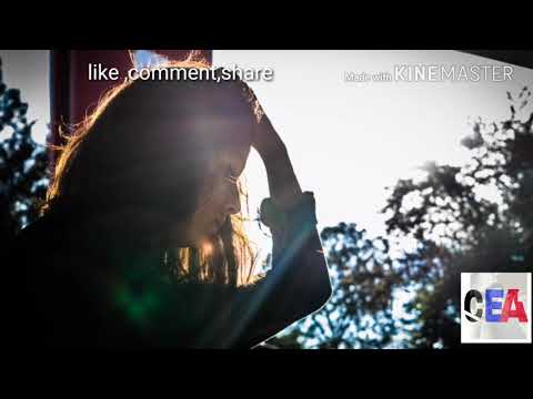 download lagu mp3 mp4 Ek Tha Tiger Song Saiyaara Ringtone Free, download lagu Ek Tha Tiger Song Saiyaara Ringtone Free gratis, unduh video klip Ek Tha Tiger Song Saiyaara Ringtone Free