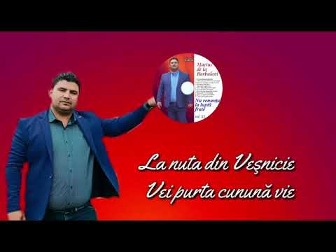 Marius din barbulești la   nunta din vesnicie
