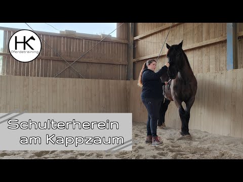 HOW TO: Schulterherein am Kappzaum 🐴 | HK Pferdetraining