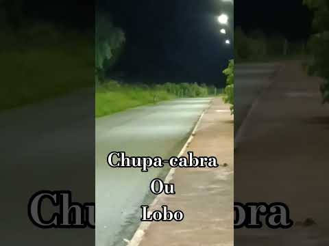 🎥 Mistério nas madrugadas de Cedro do Abaeté (MG) 👀🌧️O vídeo chegou pelos grupos WhatsApp
